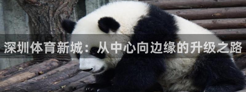 凯发官方正版app科技:深圳体育新城:从中心向边缘的升级之路