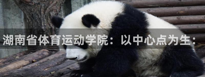 凯发官网下载招商电话是多少号码:湖南省体育运动学院:以中心点