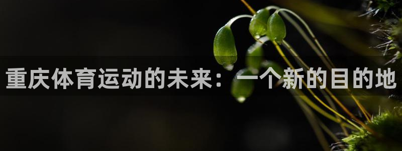 凯发官方正版app娱乐是那个系列的台子:重庆体育运动的未来: