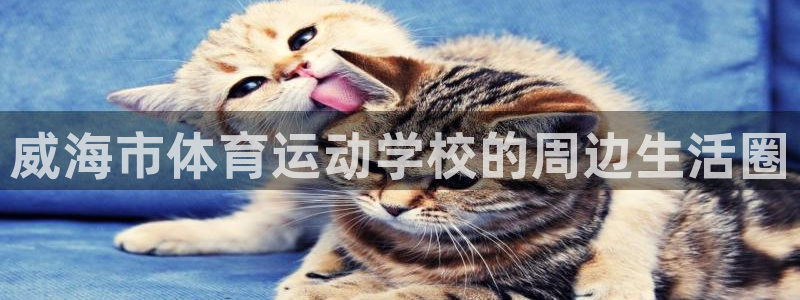 凯发官方正版app集团官网首页网址:威海市体育运动学校的周边