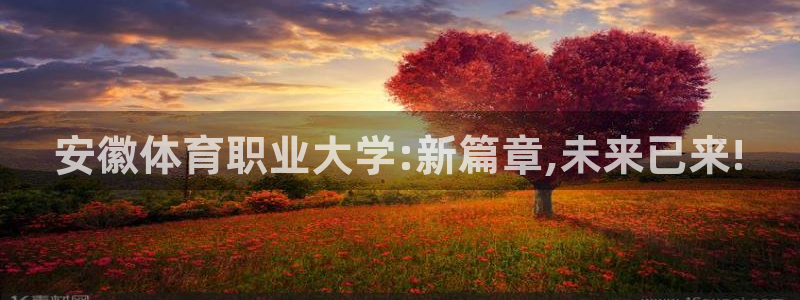 海南凯发官网下载:安徽体育职业大学:新篇章,未来已来!