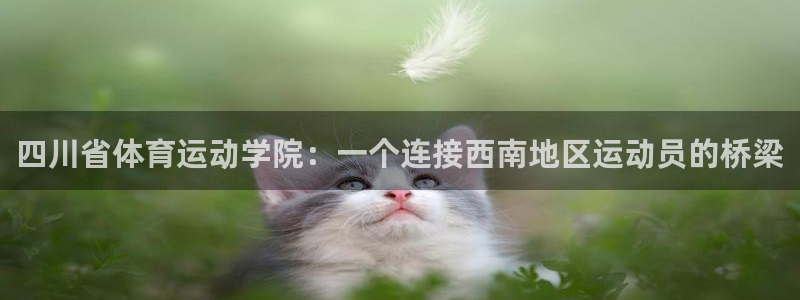 凯发官网下载招商电话号码是多少啊:四川省体育运动学院:一个连