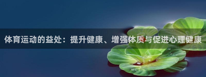 凯发官方平台体育:体育运动的益处:提升健康、增强体质与促进心